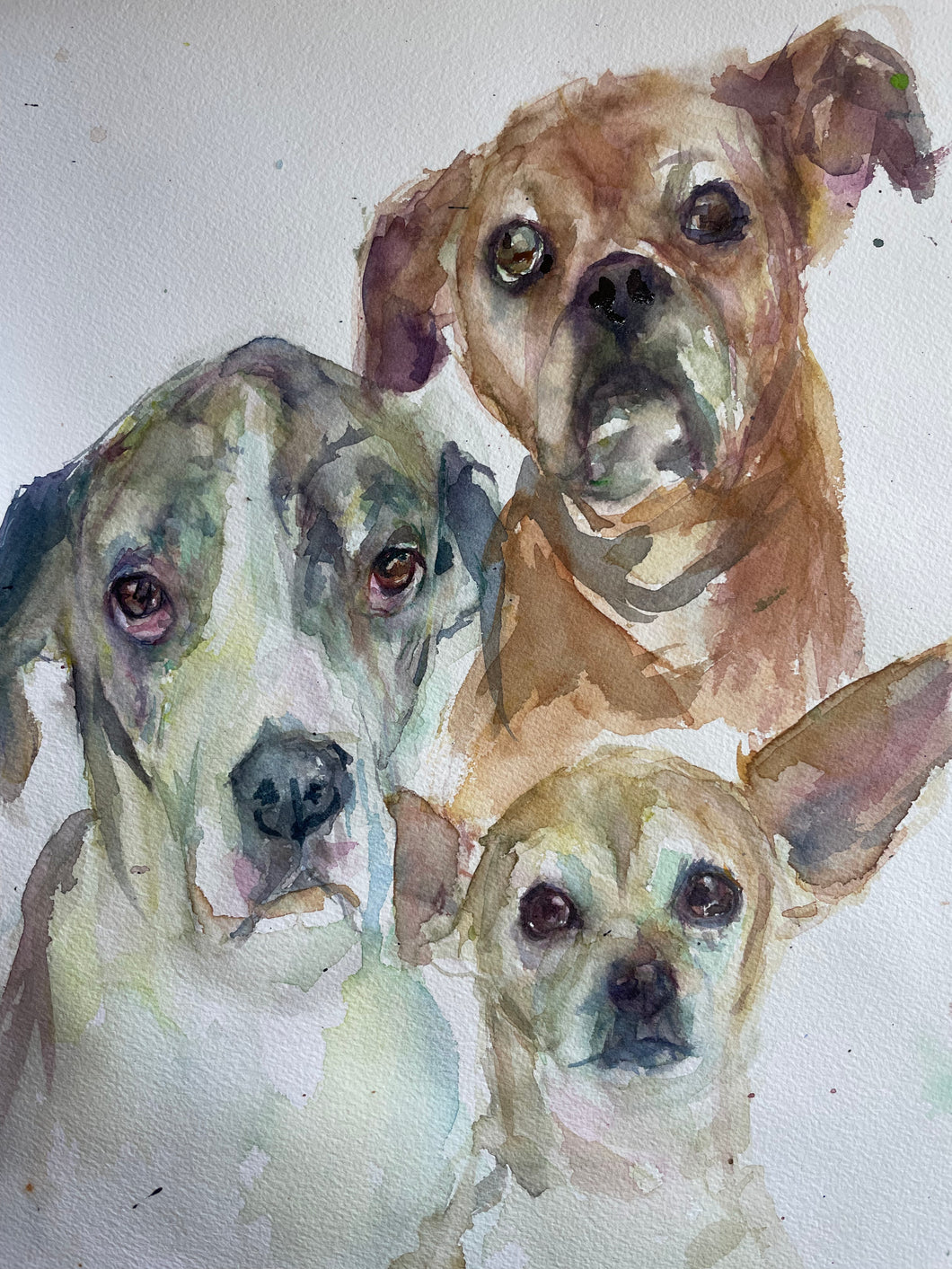 Three Pets Painting